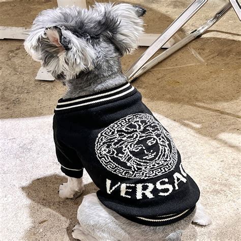 versace clothes for dogs|Pet Accessories Collection .